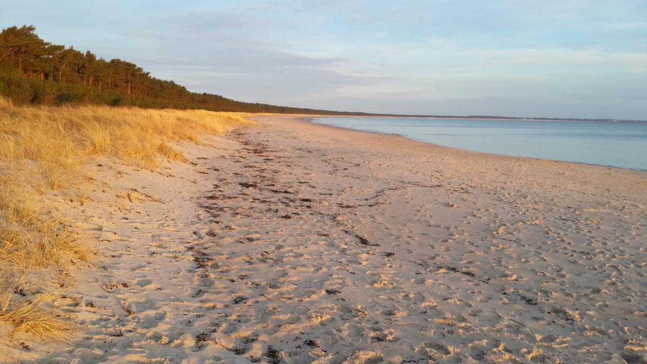 Ostseehaus Lea Doppelhaushaelfte Wiek auf Rügen Exteriér fotografie